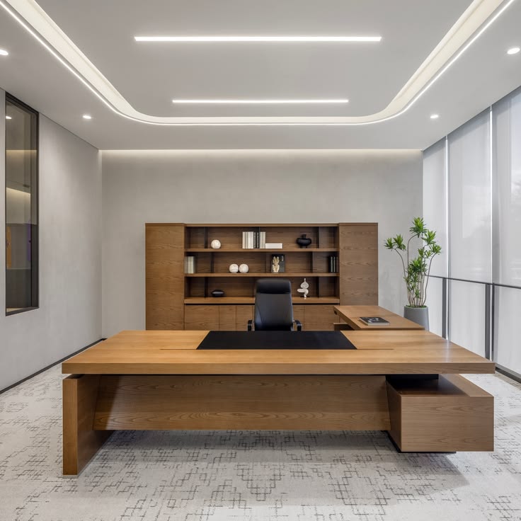 Executive CEO Presidential Office featuring Fluted Wood Acoustic Backdrop with Logo Niche #77